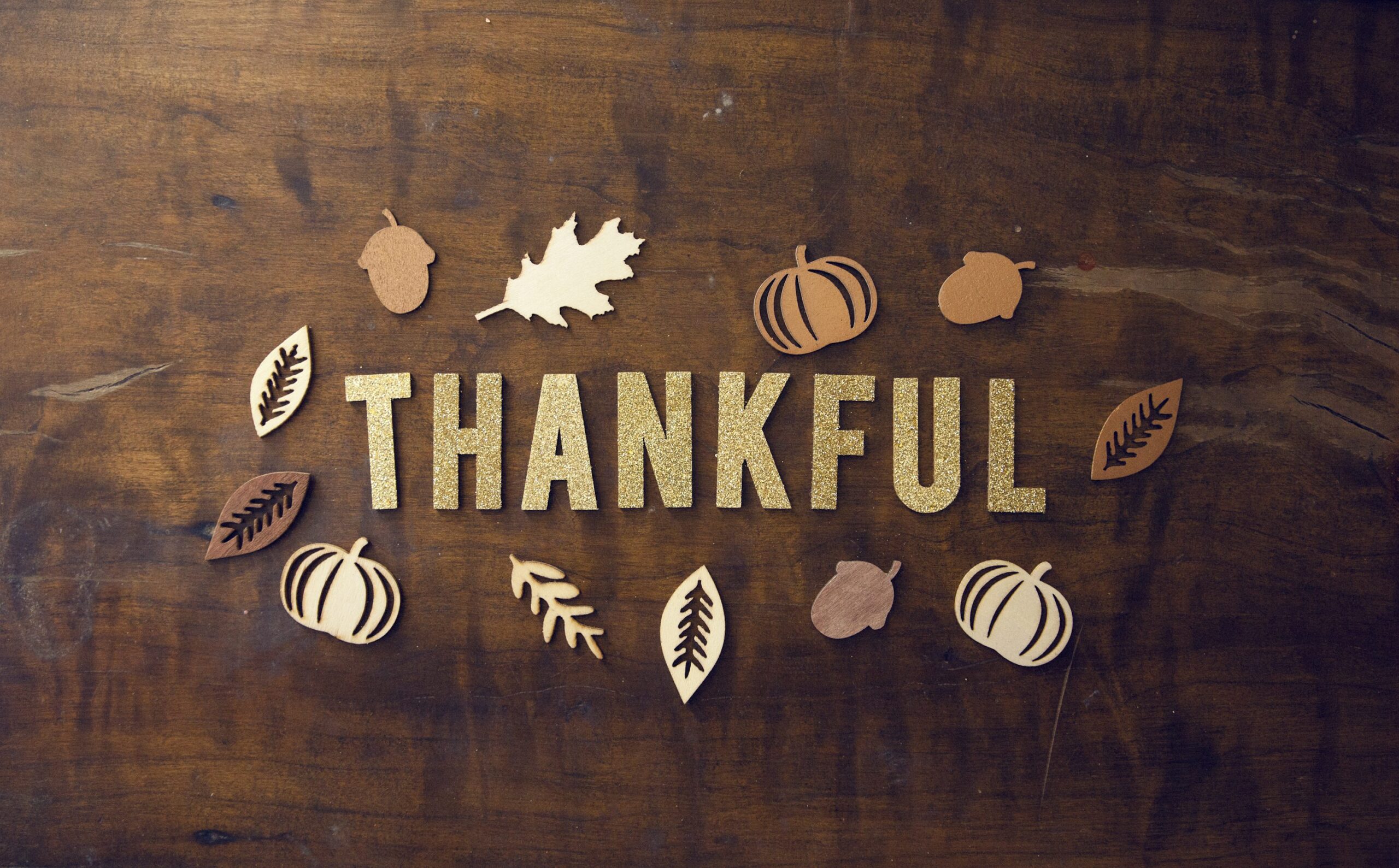 🍁🧡 Happy Thanksgiving to Our Incredible SOS Interpreters & CART Providers! 🧡🍁