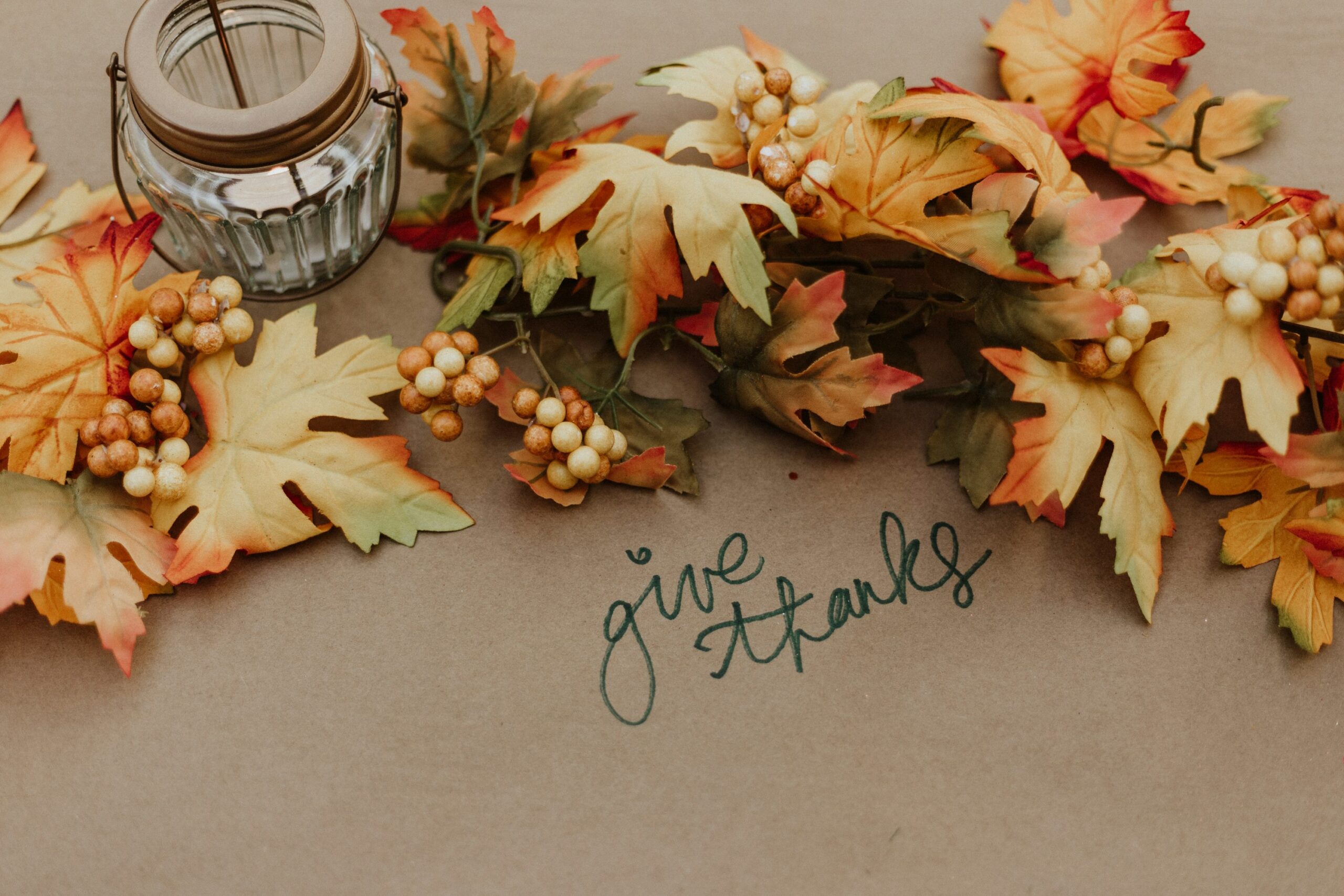 Gratitude and Growth: A Thanksgiving Reflection from The SOS Agency